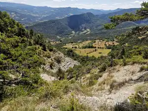 Lucile Béguin Botaniste écologue Drôme  CHABRILLAN CREST TILIA NATURE