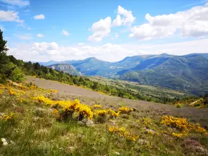 Drôme CREST  botanique nature biodiversité écologue bureau études écologie